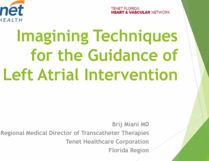 Imaging Techniques for the Guidance of Left Atrial Intervention