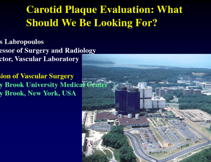 Carotid Plaque Evaluation: What Should We Be Looking For?