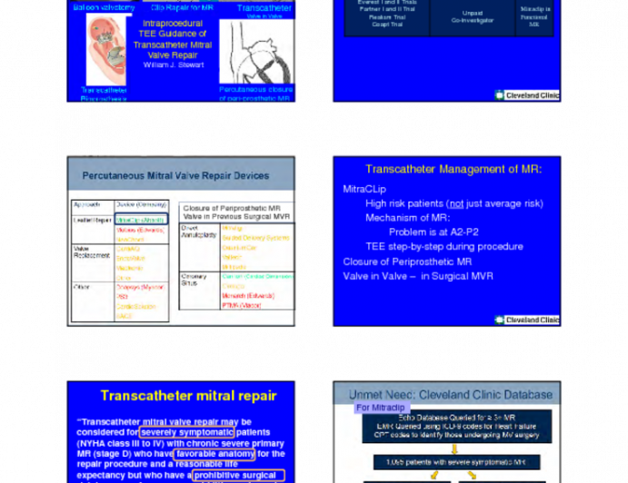 Intraprocedural TEE Guidance of Transcatheter Mitral Valve Repair