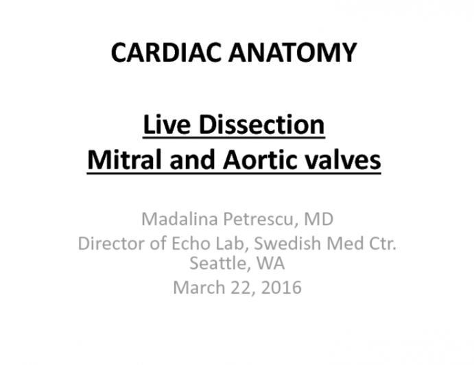Cardiac Anatomy: Live Dissection Mitral and Aortic Valves