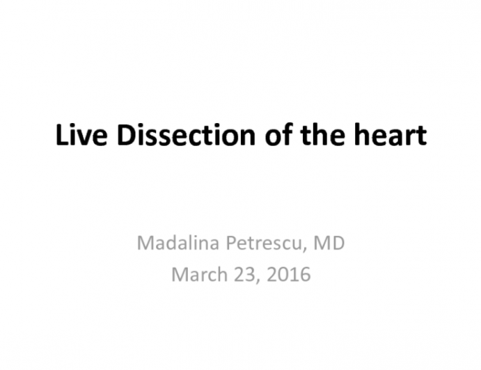 Live Dissection of the heart