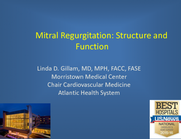 Mitral Regurgitation: Structure and Function