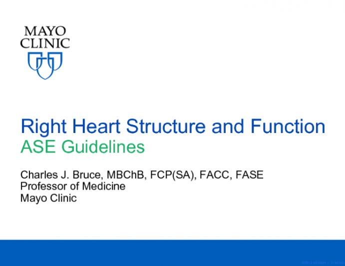 Right Heart Structure and Function - ASE Guidelines