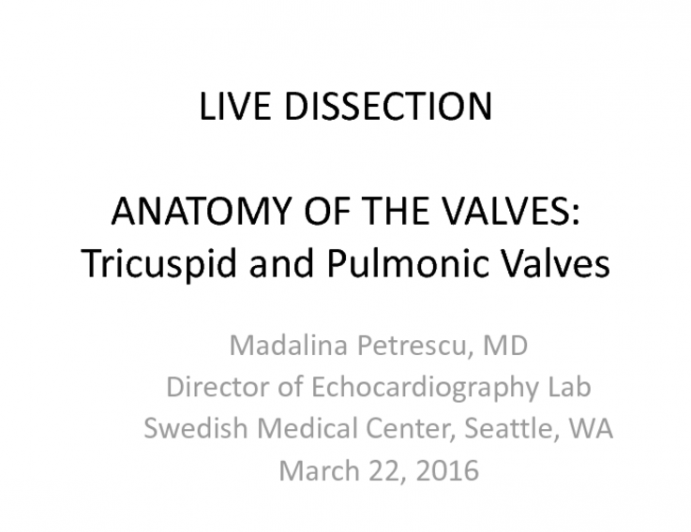 Anatomy Of The Valve: Tricuspid and Pulmonic Valves