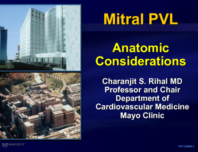 Paravalvular Leak Therapy in Mitral Valve Prosthesis: Anatomical Considerations