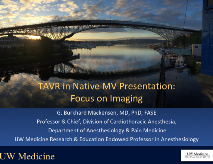 TAVR in Native MV Presentation: Focus on Imaging