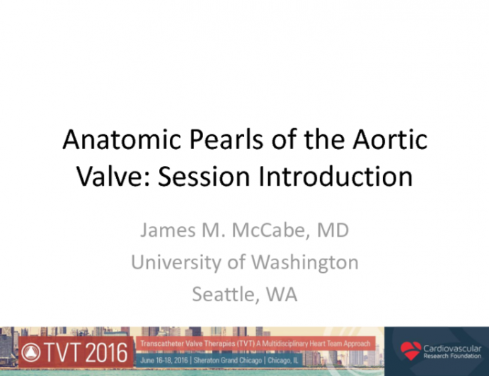 Anatomical Pearls of the Aortic Valve Complex: Session Introduction