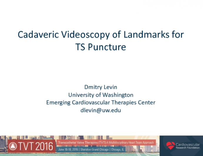 Cadaveric Videoscopy of Landmarks for TS Puncture