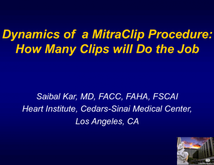 Dynamics of a MitraClip Procedure: How Many Clips Will Do the Job?