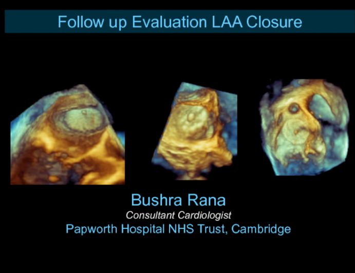 Follow-up Evaluation After LAA Closure