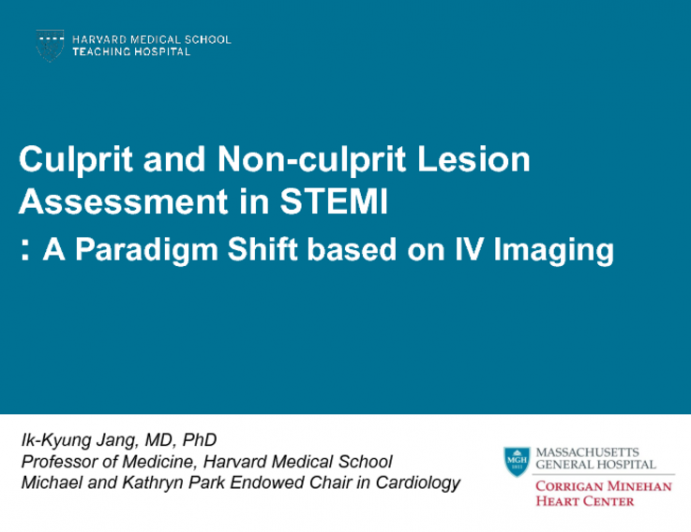 Culprit and Non-Culprit Lesion Assessment in STEMI: A Paradigm Shift Based on Intravascular Imaging (and Physiology)?