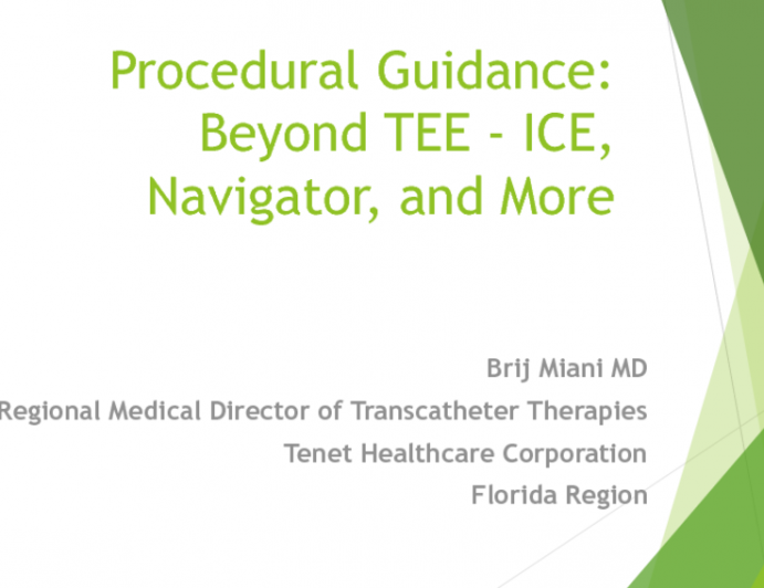 Procedural Guidance: Beyond TEE - ICE, Navigator, and More