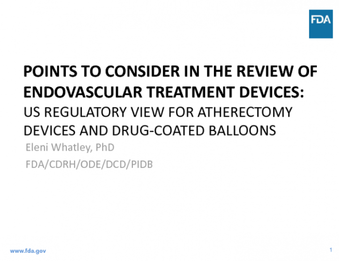 Points to Consider in the Review of Endovascular Treatment Devices: US Regulatory View