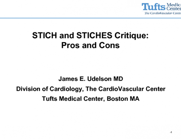 STICH and STICHES Critique: Pros and Cons