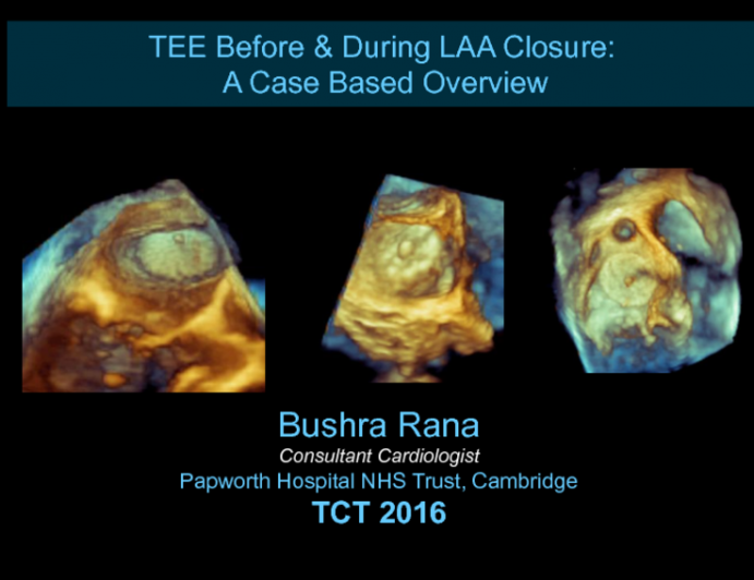 TEE Before and During LAA Closure: A Case Based Overview