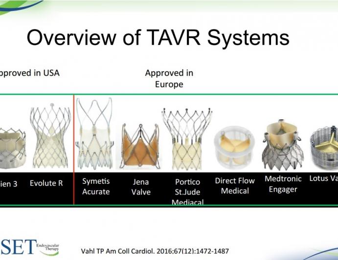 TAVR: What are the Limits Today and Where are We Going in the Future?