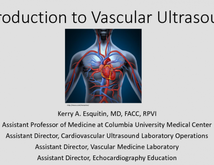  Introduction to Vascular Imaging