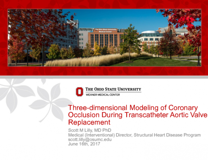 Three-dimensional Modeling of Coronary Occlusion During Transcatheter Aortic Valve Replacement