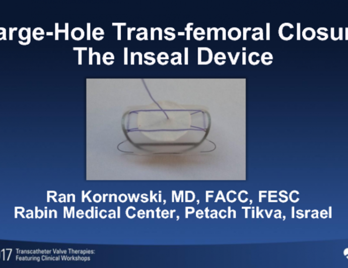 Large-Hole Trans-femoral Closure II: The InSeal Device