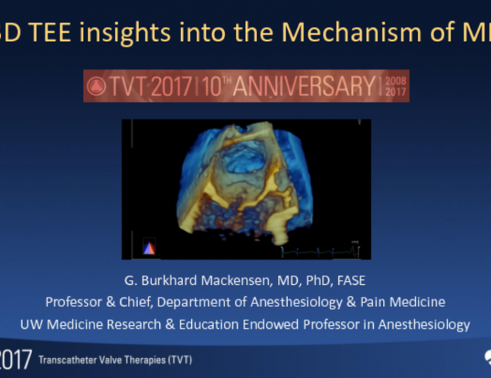 3D TEE Insights Into the Mechanisms of MR