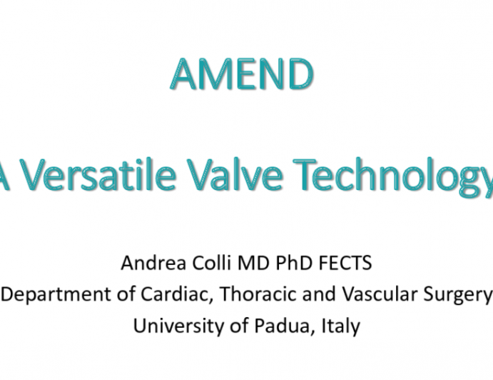 Amend Ring Annuloplasty System: Device, Procedure, and Outcomes