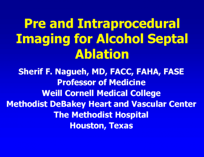 Preprocedural and Intraprocedural Imaging to Guide Ablation