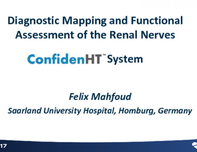 Diagnostic Mapping and Functional Assessment of the Renal Nerves: The Pythagoras Device