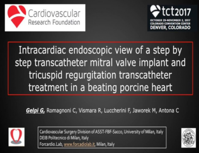 Intracardiac Endoscopic View of a Step by Step Transcatheter Mitral Valve Implant and Tricuspid Regurgitation Transcatheter Treatment in a Beating Porcine Heart