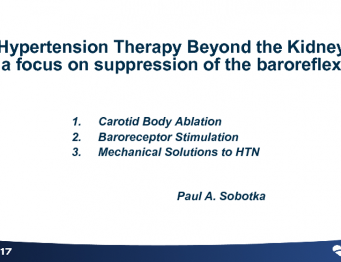 Targets for Device-Based Hypertension Treatments Beyond the Kidneys: Physiology Revisited