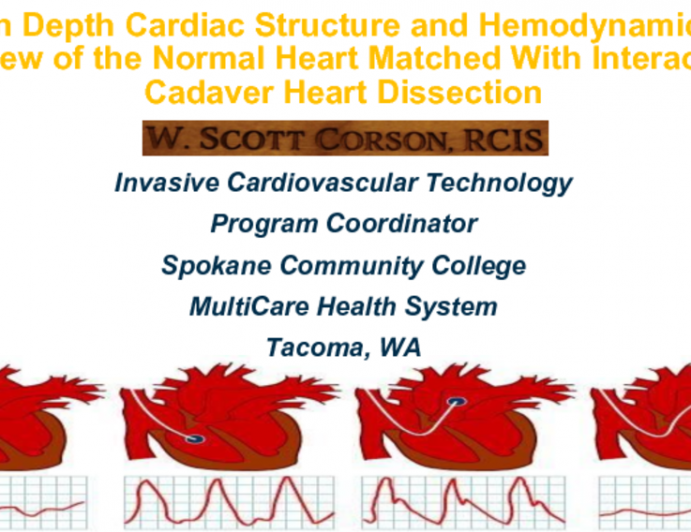 In-depth Cardiac Structure and Hemodynamic Review Matched With Interactive Cadaver Heart Dissection