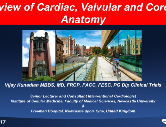 Overview of Cardiac, Valvular, and Coronary Anatomy