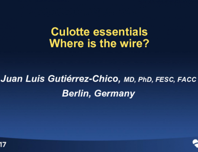 Case #4: Where Are the Wires? Culotte Essentials