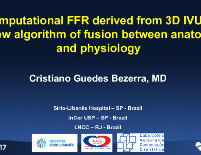 Computational Fractional Flow Reserve Derived From 3-D IVUS: A New Algorithm of Fusion Between Anatomy and Physiology