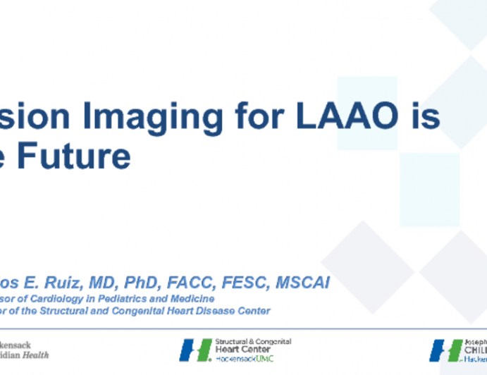 Debate: Fusion Imaging for LAA Closure Is the Future!