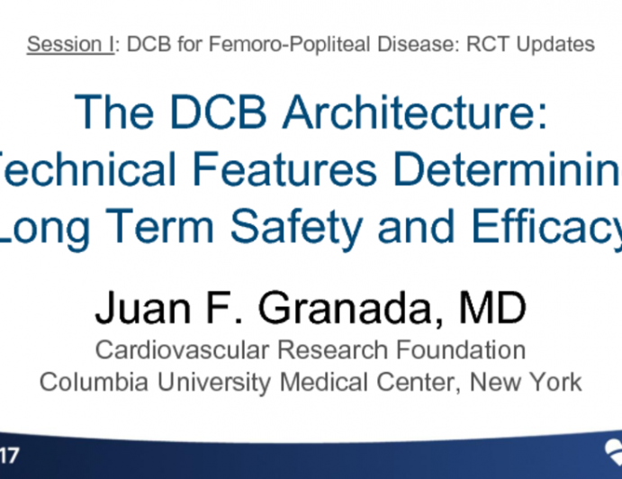 DCB Architecture: Technical Features Determining Long-term Safety and Efficacy