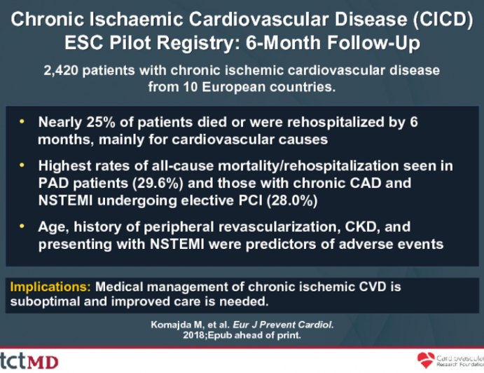 Chronic Ischaemic Cardiovascular Disease (CICD) ESC Pilot Registry: 6-Month Follow-Up