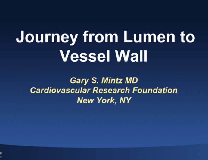 Journey from Lumen to Vessel Wall