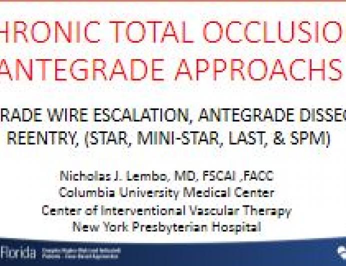 Chronic Total Occlusion Antegrade Approachs