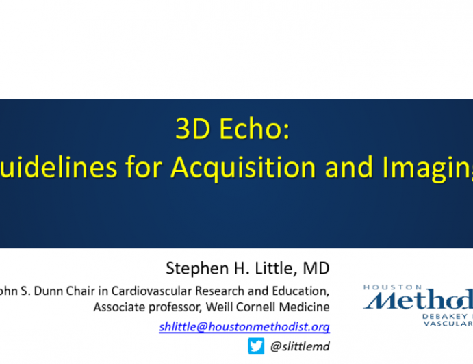 3D Echo: Guidelines for Acquisition and Imaging
