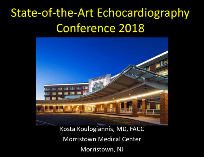 State-of-the-Art Echocardiography Conference 2018