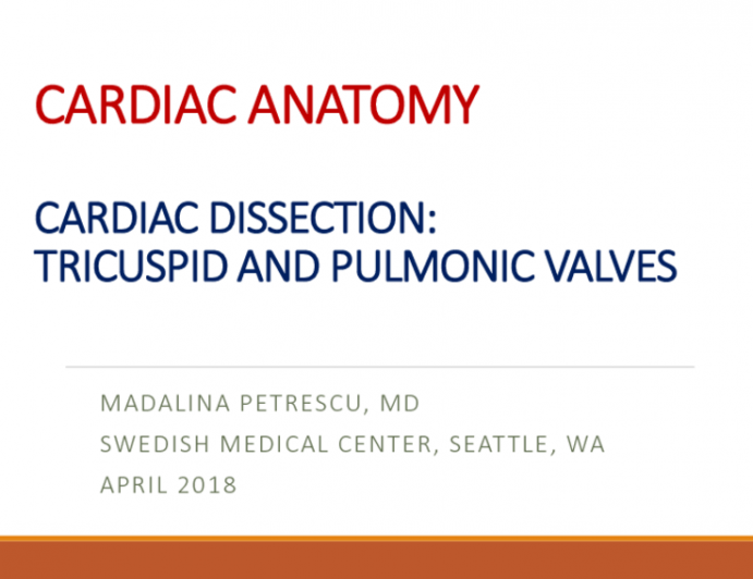Cardiac Dissection: Tricuspid and Pulmonic Valves