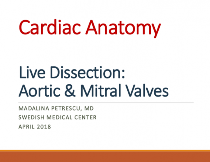 Live Dissection: Aortic & Mitral Valves