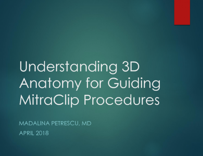 Understanding 3D Anatomy for Guiding MitraClip Procedures