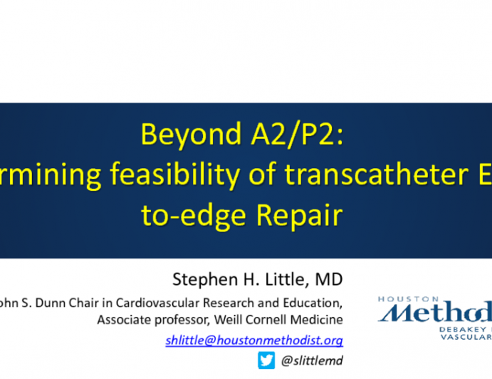 Beyond A2/P2: Determining Feasibility of Transcatheter Edge-to-edge Repair