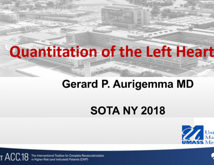 Quantitation of the Left Heart