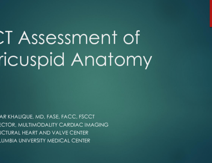 The ‘Essential' CT Examination of the Tricuspid Annulus and RV Anatomy