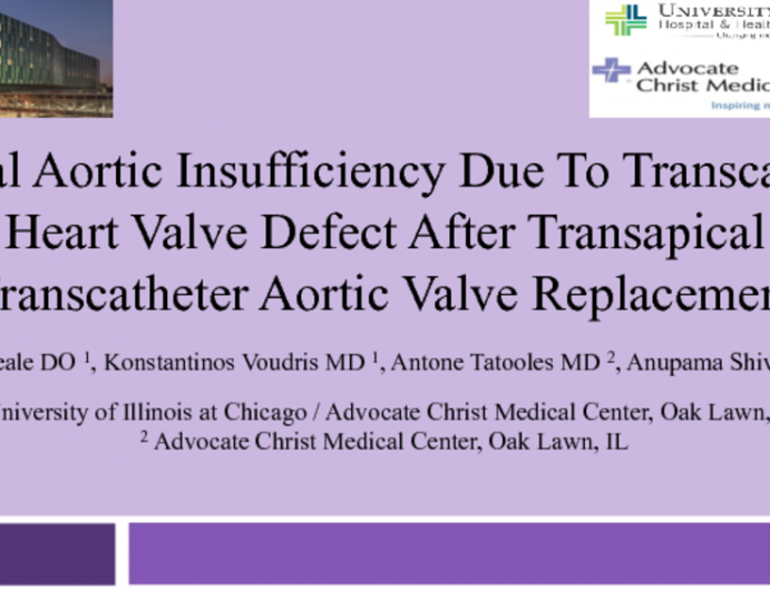 Central Aortic Insufficiency Due to Transcatheter Heart Valve Defect After Transapical Transcatheter Aortic Valve Replacement