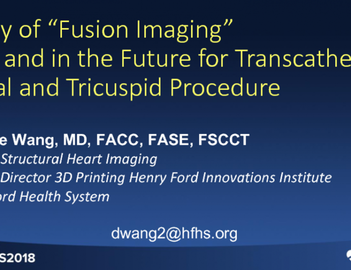 Utility of Fusion Imaging Now and in the Future for Transcatheter Mitral and Tricuspid Procedures