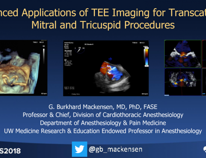 Advanced Applications of TEE Imaging for Transcatheter Mitral and Tricuspid Procedures