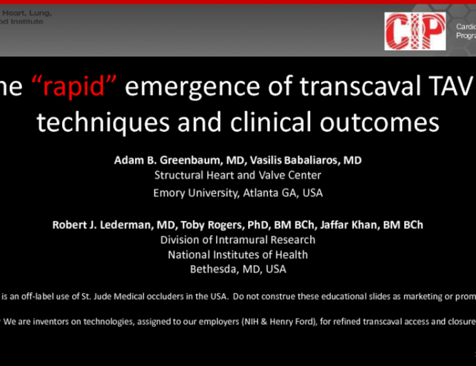 The Rapid Emergence of Transcaval TAVR: Techniques and Clinical Outcomes